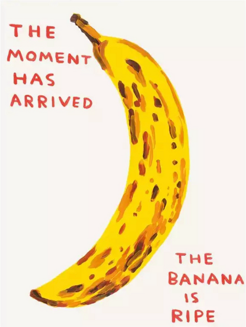 The Moment Has Arrived The Banana Is Ripe